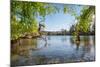 Lake and Moon Embracing Pavilion in Jade Spring Park-Andreas Brandl-Mounted Photographic Print