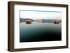 Lake and Palace on Amber's Road, Jaipur, Rajasthan, India, Asia-Godong-Framed Photographic Print