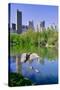 Lake and two ducks in Central Park in Spring with skyline in background, New York City, New York-null-Stretched Canvas