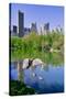 Lake and two ducks in Central Park in Spring with skyline in background, New York City, New York-null-Stretched Canvas