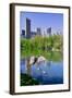Lake and two ducks in Central Park in Spring with skyline in background, New York City, New York-null-Framed Photographic Print