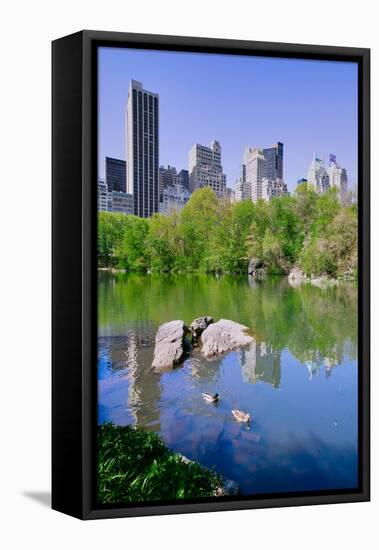 Lake and two ducks in Central Park in Spring with skyline in background, New York City, New York-null-Framed Stretched Canvas