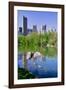 Lake and two ducks in Central Park in Spring with skyline in background, New York City, New York-null-Framed Photographic Print