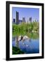 Lake and two ducks in Central Park in Spring with skyline in background, New York City, New York-null-Framed Photographic Print