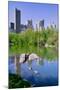 Lake and two ducks in Central Park in Spring with skyline in background, New York City, New York-null-Mounted Photographic Print