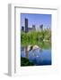 Lake and two ducks in Central Park in Spring with skyline in background, New York City, New York-null-Framed Photographic Print