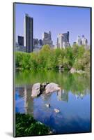 Lake and two ducks in Central Park in Spring with skyline in background, New York City, New York-null-Mounted Photographic Print