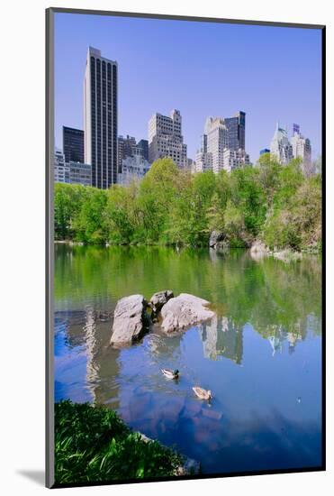 Lake and two ducks in Central Park in Spring with skyline in background, New York City, New York-null-Mounted Photographic Print