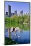 Lake and two ducks in Central Park in Spring with skyline in background, New York City, New York-null-Mounted Photographic Print