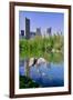 Lake and two ducks in Central Park in Spring with skyline in background, New York City, New York-null-Framed Photographic Print