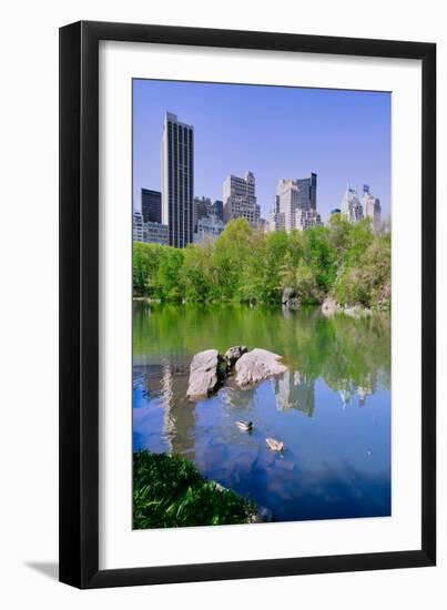 Lake and two ducks in Central Park in Spring with skyline in background, New York City, New York-null-Framed Photographic Print