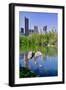 Lake and two ducks in Central Park in Spring with skyline in background, New York City, New York-null-Framed Photographic Print