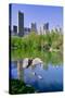 Lake and two ducks in Central Park in Spring with skyline in background, New York City, New York-null-Stretched Canvas