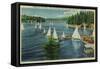 Lake Arrowhead, CA Yacht Club Racing - Lake Arrowhead, CA-Lantern Press-Framed Stretched Canvas