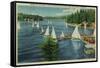 Lake Arrowhead, CA Yacht Club Racing - Lake Arrowhead, CA-Lantern Press-Framed Stretched Canvas