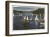 Lake Arrowhead, California - Yacht Club, Sailboat Race-Lantern Press-Framed Art Print