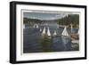 Lake Arrowhead, California - Yacht Club, Sailboat Race-Lantern Press-Framed Art Print