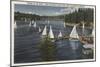 Lake Arrowhead, California - Yacht Club, Sailboat Race-Lantern Press-Mounted Art Print