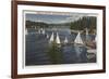 Lake Arrowhead, California - Yacht Club, Sailboat Race-Lantern Press-Framed Premium Giclee Print