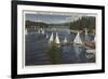 Lake Arrowhead, California - Yacht Club, Sailboat Race-Lantern Press-Framed Premium Giclee Print