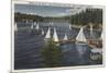 Lake Arrowhead, California - Yacht Club, Sailboat Race-Lantern Press-Mounted Premium Giclee Print