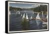 Lake Arrowhead, California - Yacht Club, Sailboat Race-Lantern Press-Framed Stretched Canvas