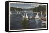 Lake Arrowhead, California - Yacht Club, Sailboat Race-Lantern Press-Framed Stretched Canvas