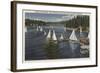 Lake Arrowhead, California - Yacht Club, Sailboat Race-Lantern Press-Framed Art Print