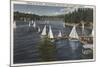 Lake Arrowhead, California - Yacht Club, Sailboat Race-Lantern Press-Mounted Art Print