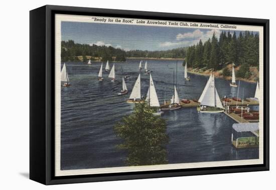 Lake Arrowhead, California - Yacht Club, Sailboat Race-Lantern Press-Framed Stretched Canvas