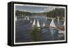 Lake Arrowhead, California - Yacht Club, Sailboat Race-Lantern Press-Framed Stretched Canvas