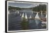 Lake Arrowhead, California - Yacht Club, Sailboat Race-Lantern Press-Framed Stretched Canvas