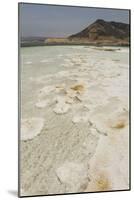 Lake Assal, 151M Below Sea Level, Djibouti, Africa-Tony Waltham-Mounted Photographic Print