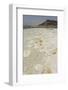 Lake Assal, 151M Below Sea Level, Djibouti, Africa-Tony Waltham-Framed Photographic Print