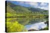 Lake at Haputale, Nuwara Eliya District, Sri Lanka Hill Country, Sri Lanka, Asia-Matthew Williams-Ellis-Stretched Canvas