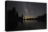 Lake at Night with Reflected Stars of the Milky Way and Silhouetted Trees, Lassen Volcanic Np, USA-Mark Taylor-Stretched Canvas