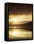 Lake at Sunrise, Lake of the Ozarks, Missouri, USA-Charles Gurche-Framed Stretched Canvas