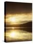 Lake at Sunrise, Lake of the Ozarks, Missouri, USA-Charles Gurche-Stretched Canvas