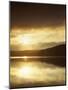 Lake at Sunrise, Lake of the Ozarks, Missouri, USA-Charles Gurche-Mounted Photographic Print