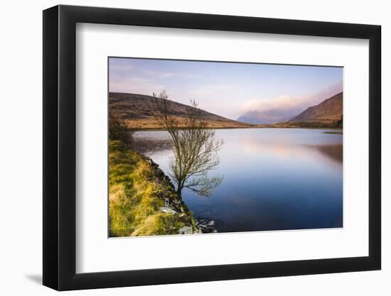 Lake at sunrise near the foot of Snowdon, Snowdonia National Park, North Wales, United Kingdom-Matthew Williams-Ellis-Framed Photographic Print