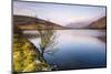 Lake at sunrise near the foot of Snowdon, Snowdonia National Park, North Wales, United Kingdom-Matthew Williams-Ellis-Mounted Photographic Print