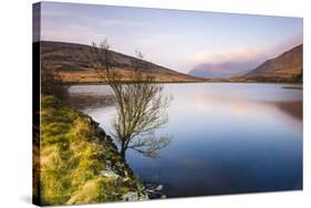 Lake at sunrise near the foot of Snowdon, Snowdonia National Park, North Wales, United Kingdom-Matthew Williams-Ellis-Stretched Canvas
