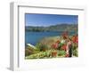 Lake Atitlan, Near Santiago Atitlan, Guatemala, Central America-null-Framed Photographic Print