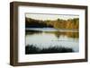 Lake, Autumn, Virginia Water, Surrey, England, United Kingdom-Charles Bowman-Framed Photographic Print