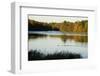 Lake, Autumn, Virginia Water, Surrey, England, United Kingdom-Charles Bowman-Framed Photographic Print