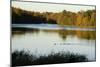 Lake, Autumn, Virginia Water, Surrey, England, United Kingdom-Charles Bowman-Mounted Photographic Print