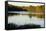 Lake, Autumn, Virginia Water, Surrey, England, United Kingdom-Charles Bowman-Framed Stretched Canvas