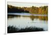 Lake, Autumn, Virginia Water, Surrey, England, United Kingdom-Charles Bowman-Framed Photographic Print