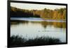 Lake, Autumn, Virginia Water, Surrey, England, United Kingdom-Charles Bowman-Framed Photographic Print