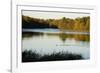 Lake, Autumn, Virginia Water, Surrey, England, United Kingdom-Charles Bowman-Framed Photographic Print